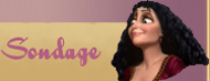 Sondage