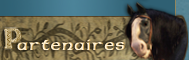 Partenaires