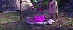 Image La Reine des Neiges 2
