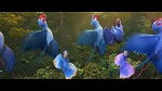 Rio 2 picture