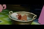 The Lady and the Tramp screenshots gallery