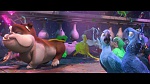 Rio 2 picture