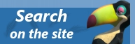 Search