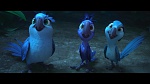Rio 2 picture