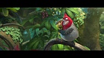 Image Rio 2