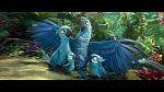 Image Rio 2
