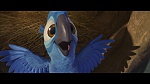 Image Rio