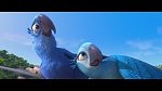Image Rio
