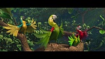 Image Rio