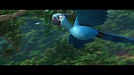 Image Rio