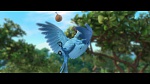 Image Rio 2