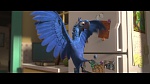 Image Rio 2