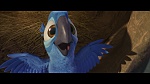 Image Rio