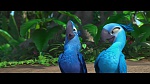 Image Rio