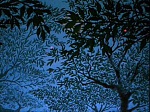 Robin Hood picture