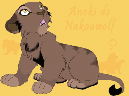 Detail Anoki