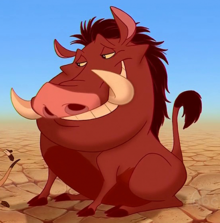 Detail Pumbaa