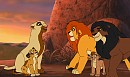 Welcome to Pride rock!