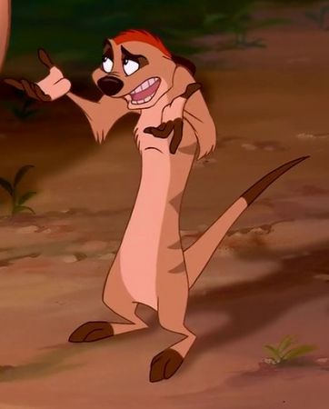 Detail Timon