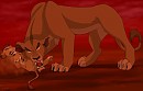 Zira Versus Kopa. 