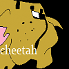 cheetah(ange)