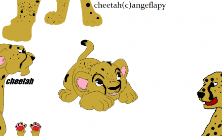 Detail cheetah(ange) Detail cheetah(ange)