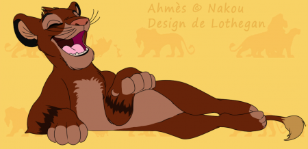 Detail Ahm�s
