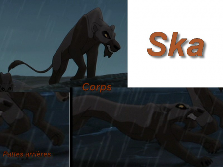 Detail ska