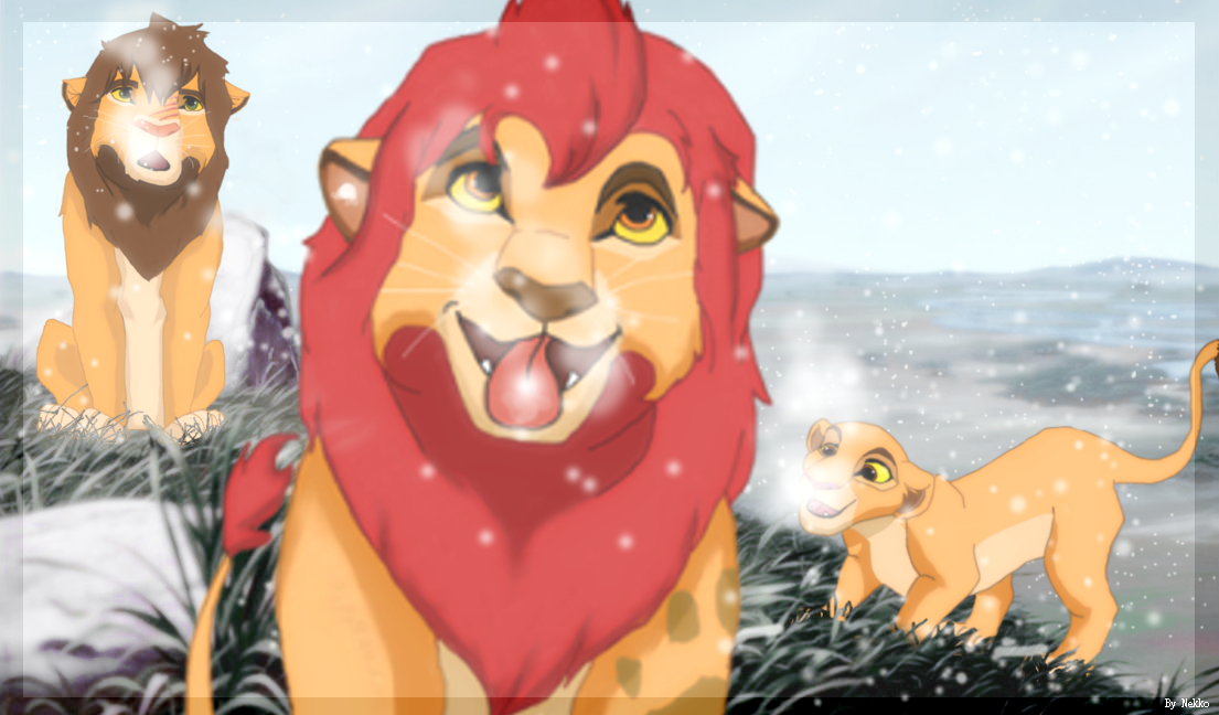 imageconcours.png