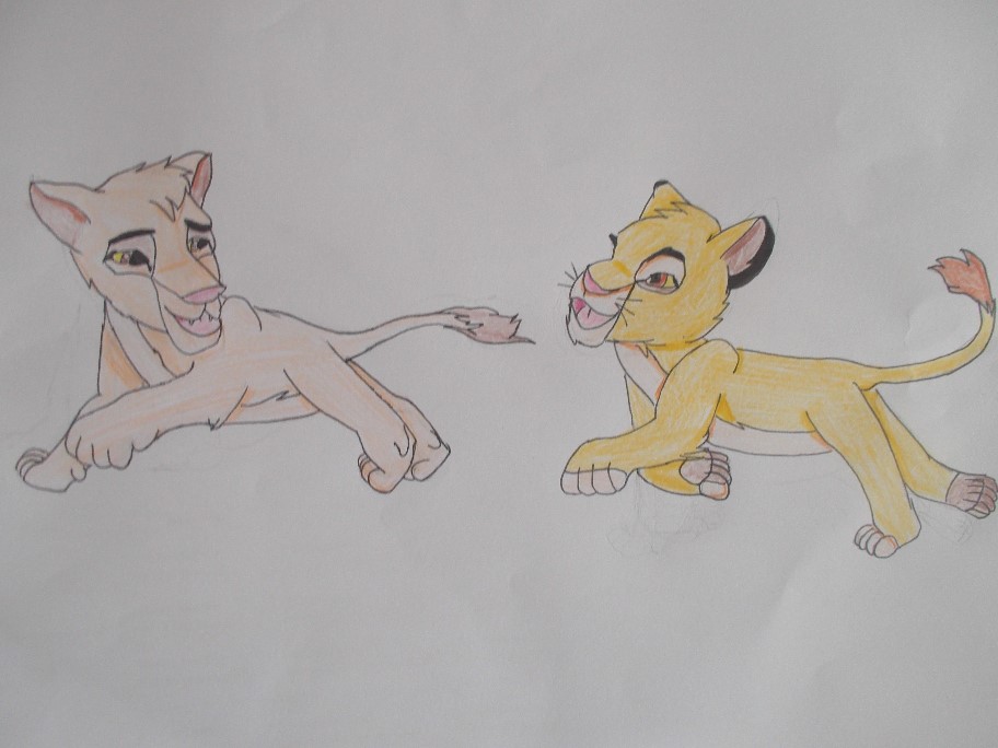 dessin_tama_et_simba.jpg