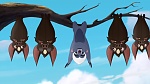 Image Le Roi Lion :  The Lion Guard: Return of the Roar 