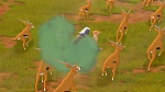 Image Le Roi Lion : 