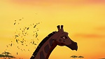 Image The Lion King 2 : Simba's Pride