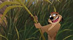 Image The Lion King 2 : Simba's Pride
