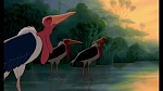 Image The Lion King 1 1/2 : Hakuna Matata