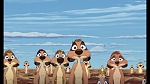Image The Lion King 1 1/2 : Hakuna Matata