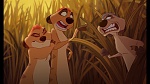 Image The Lion King 1 1/2 : Hakuna Matata