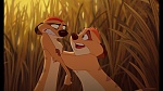 Image The Lion King 1 1/2 : Hakuna Matata