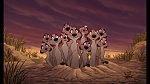 Image The Lion King 1 1/2 : Hakuna Matata