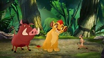 Image Le Roi Lion : 