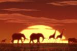 Paroles des chansons du film (Le Roi Lion II)