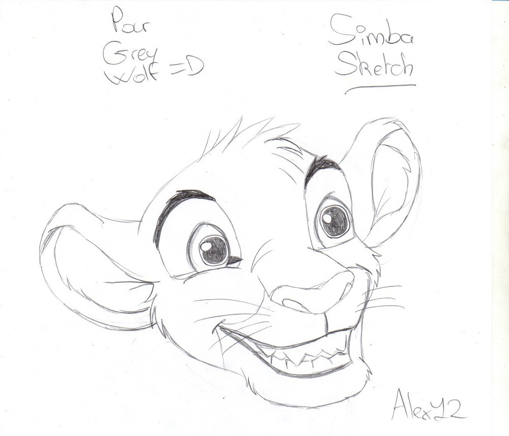 Simba - Projet Remerciements