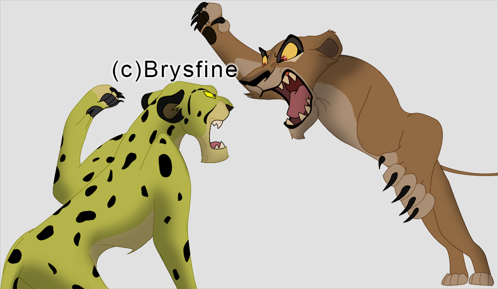 Rox vs Zira