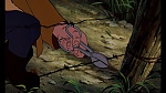 Image Fox and the Hound