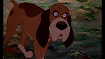 Image Fox and the Hound