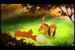 Vid�os de Rox & Rouky 2