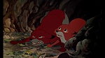 Image Fox and the Hound
