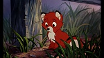 Image Fox and the Hound