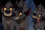 Le super cicatrisant de Shenzi.
