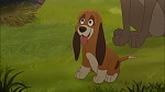 Image Fox and the Hound 2